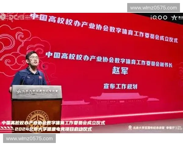 体育产业转型升级与创新发展路径探析：机遇挑战与战略思考