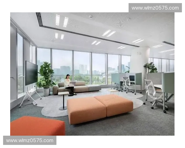 提升居住与办公效率的空间设计策略与创新利用研究