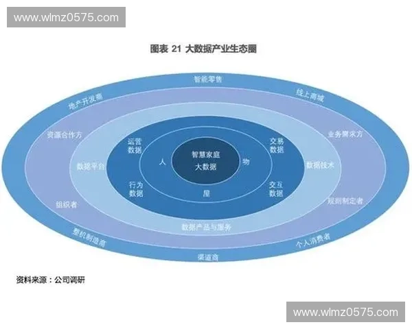 体育品牌资产价值提升策略与市场竞争力优化研究探索